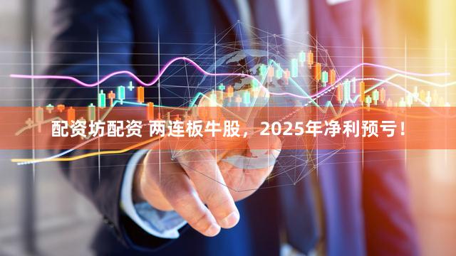 配资坊配资 两连板牛股，2025年净利预亏！