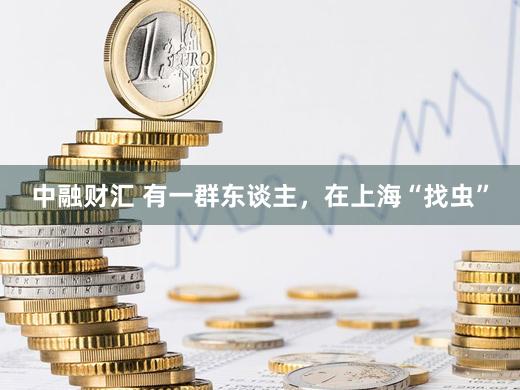 中融财汇 有一群东谈主，在上海“找虫”
