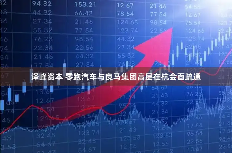 泽峰资本 零跑汽车与良马集团高层在杭会面疏通