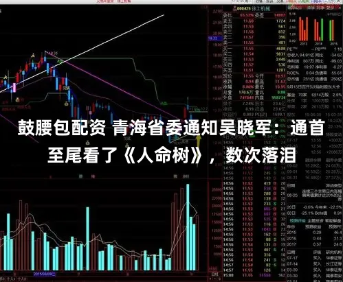 鼓腰包配资 青海省委通知吴晓军：通首至尾看了《人命树》，数次落泪