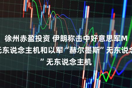 徐州赤盈投资 伊朗称击中好意思军MQ-9无东说念主机和以军“赫尔墨斯”无东说念主机