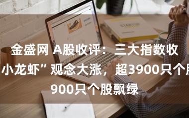 金盛网 A股收评：三大指数收跌，“小龙虾”观念大涨，超3900只个股飘绿
