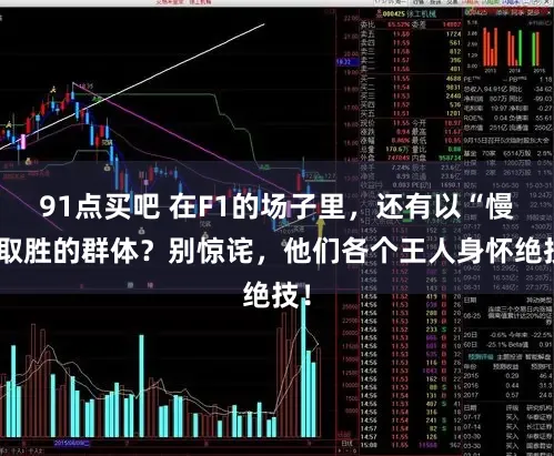 91点买吧 在F1的场子里，还有以“慢”取胜的群体？别惊诧，他们各个王人身怀绝技！
