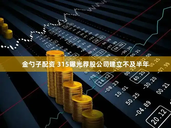 金勺子配资 315曝光荐股公司建立不及半年