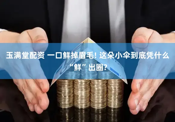 玉满堂配资 一口鲜掉眉毛! 这朵小伞到底凭什么“鲜”出圈?