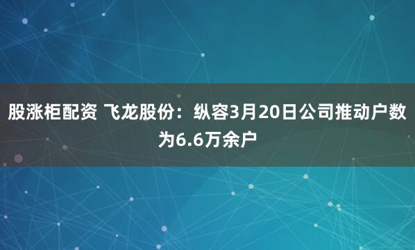 股涨柜配资 飞龙股份：纵容3月20日公司推动户数为6.6万余户