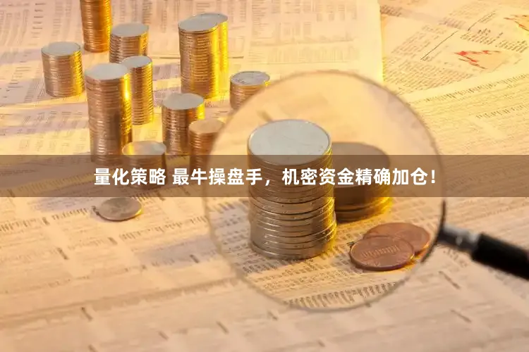 量化策略 最牛操盘手，机密资金精确加仓！