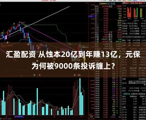 汇盈配资 从蚀本20亿到年赚13亿，元保为何被9000条投诉缠上？