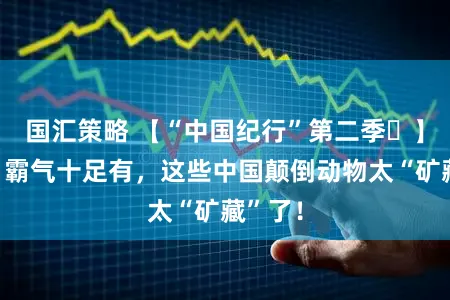 国汇策略 【“中国纪行”第二季㉗】可儿、霸气十足有,这些中国颠倒动物太“矿藏”了!