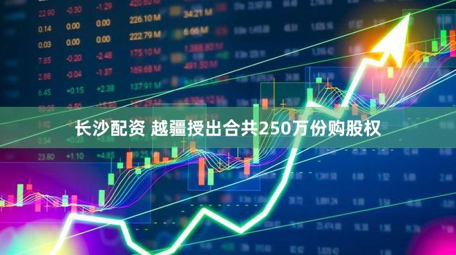 长沙配资 越疆授出合共250万份购股权