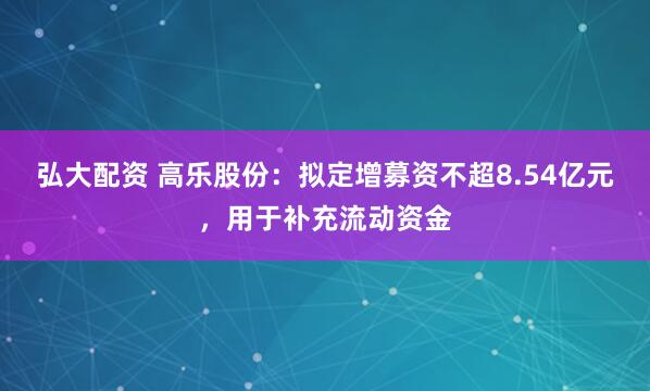 弘大配资 高乐股份：拟定增募资不超8.54亿元，用于补充流动资金