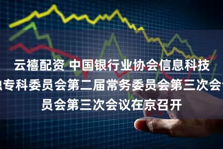 云禧配资 中国银行业协会信息科技与数字金融专科委员会第二届常务委员会第三次会议在京召开