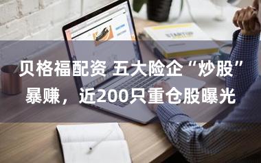 贝格福配资 五大险企“炒股”暴赚,近200只重仓股曝光