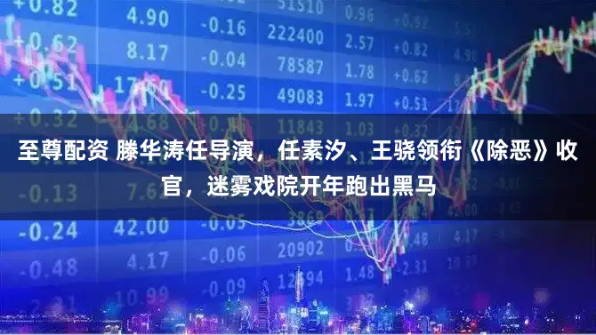 至尊配资 滕华涛任导演,任素汐、王骁领衔《除恶》收官,迷雾戏院开年跑出黑马